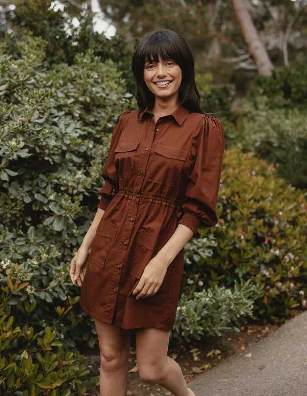 Affordable work dresses for professional women -Avery Utility Dress in Espresso